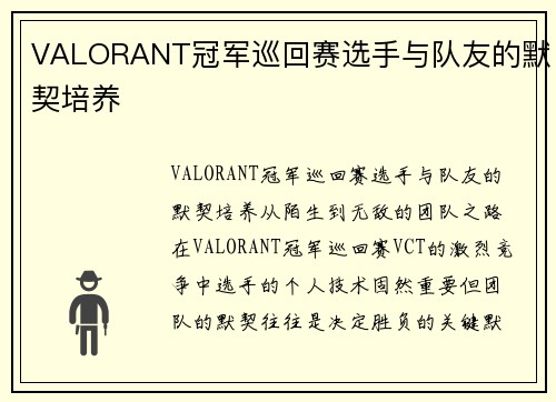 VALORANT冠军巡回赛选手与队友的默契培养